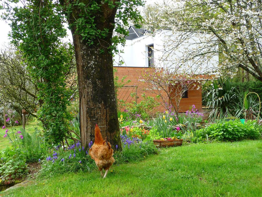 Bed and Breakfast Le Jardin Aux Oiseaux Férel Pokój zdjęcie